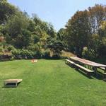 The Lawn