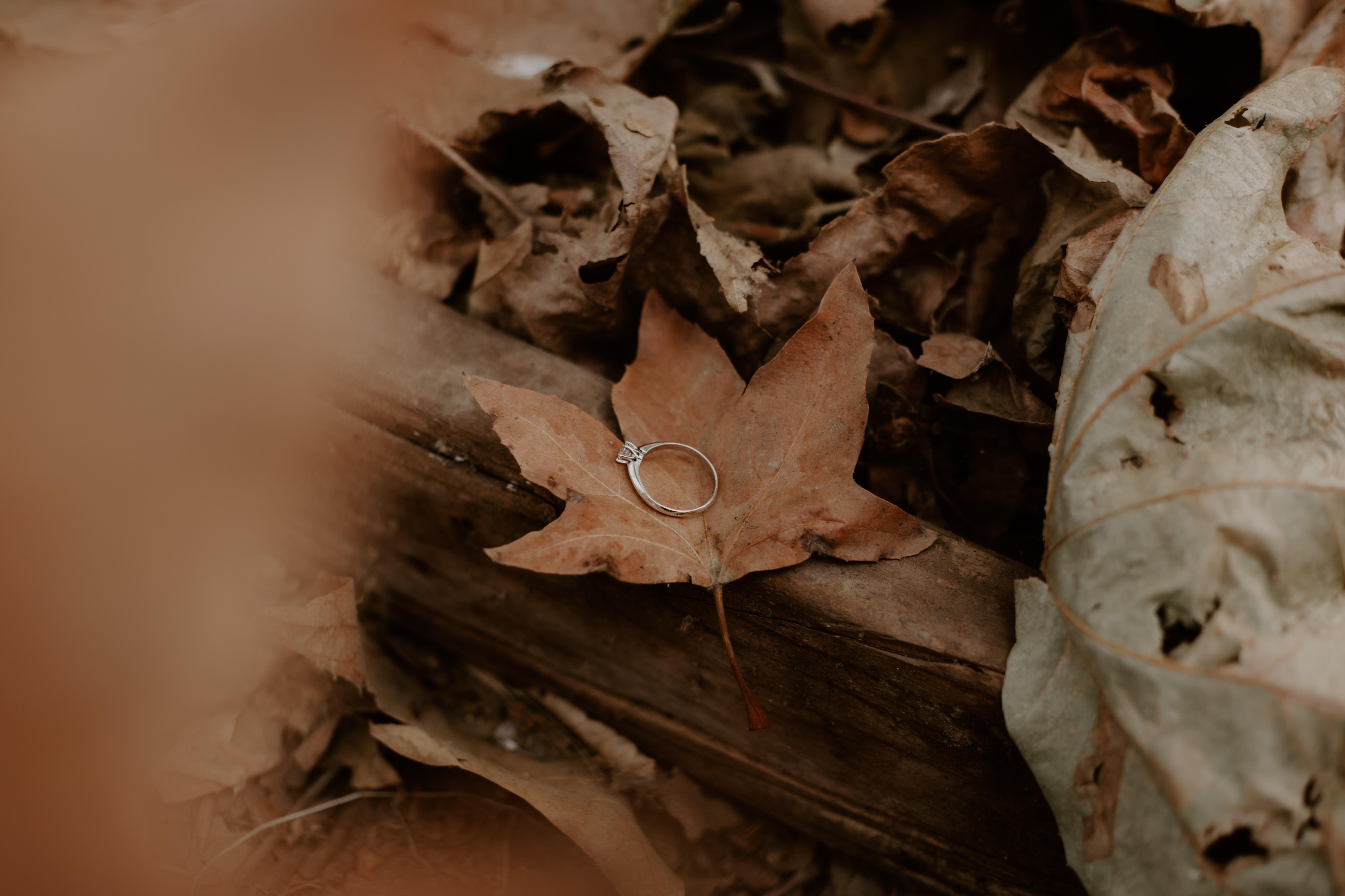 The Wedding Website of Gabriela Arnaldo and Diego Aceves