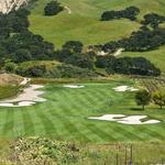 Golfing at Wente Vineyards