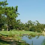 Golfing