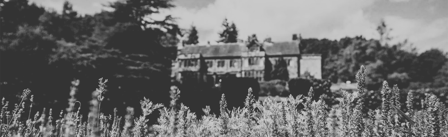 The Wedding Website of Sophie Allan and Owen Preston