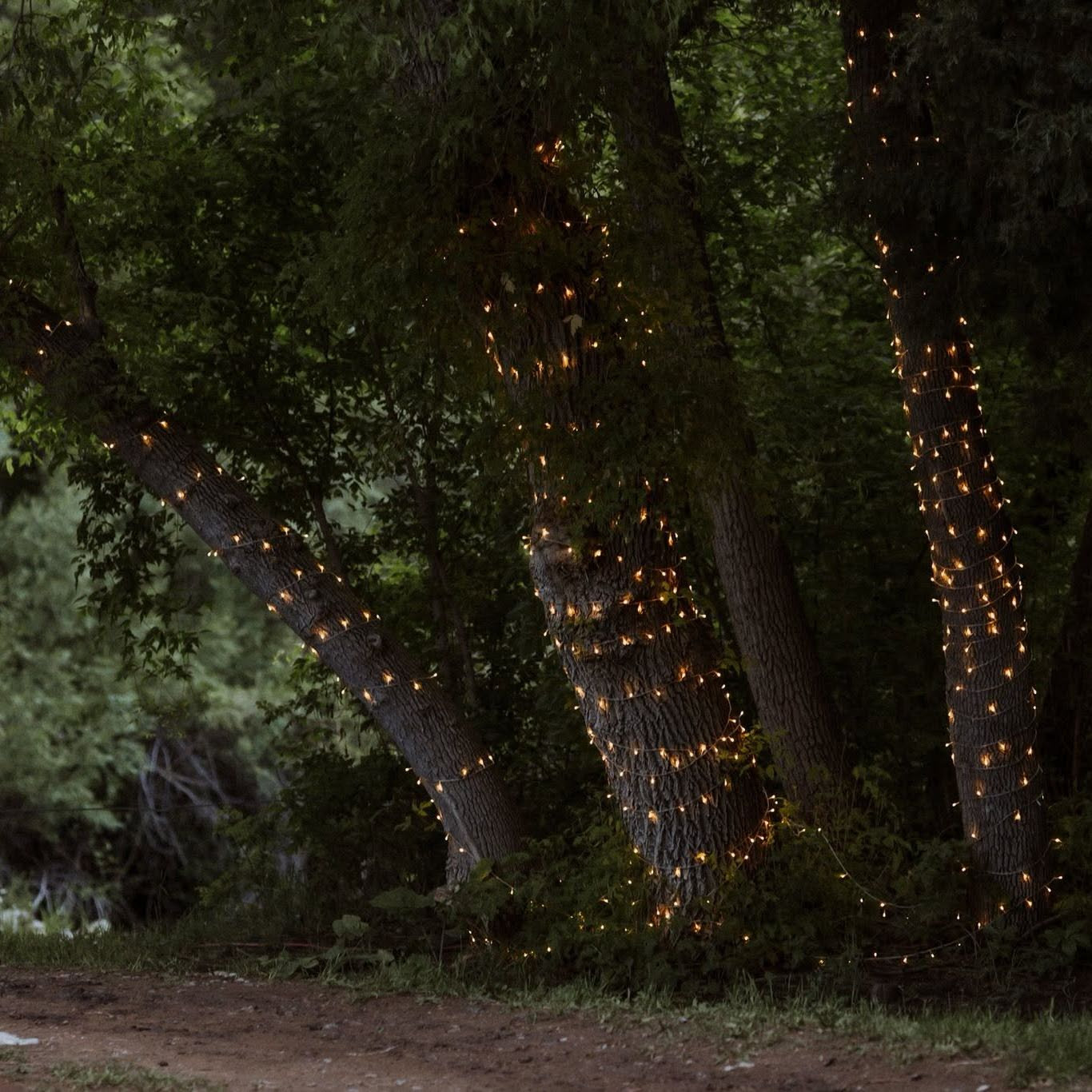 We put these lights up in May in the snow...all the way around the circle and man did it pay off, made it so magical!
