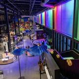 Kiewit Luminarium