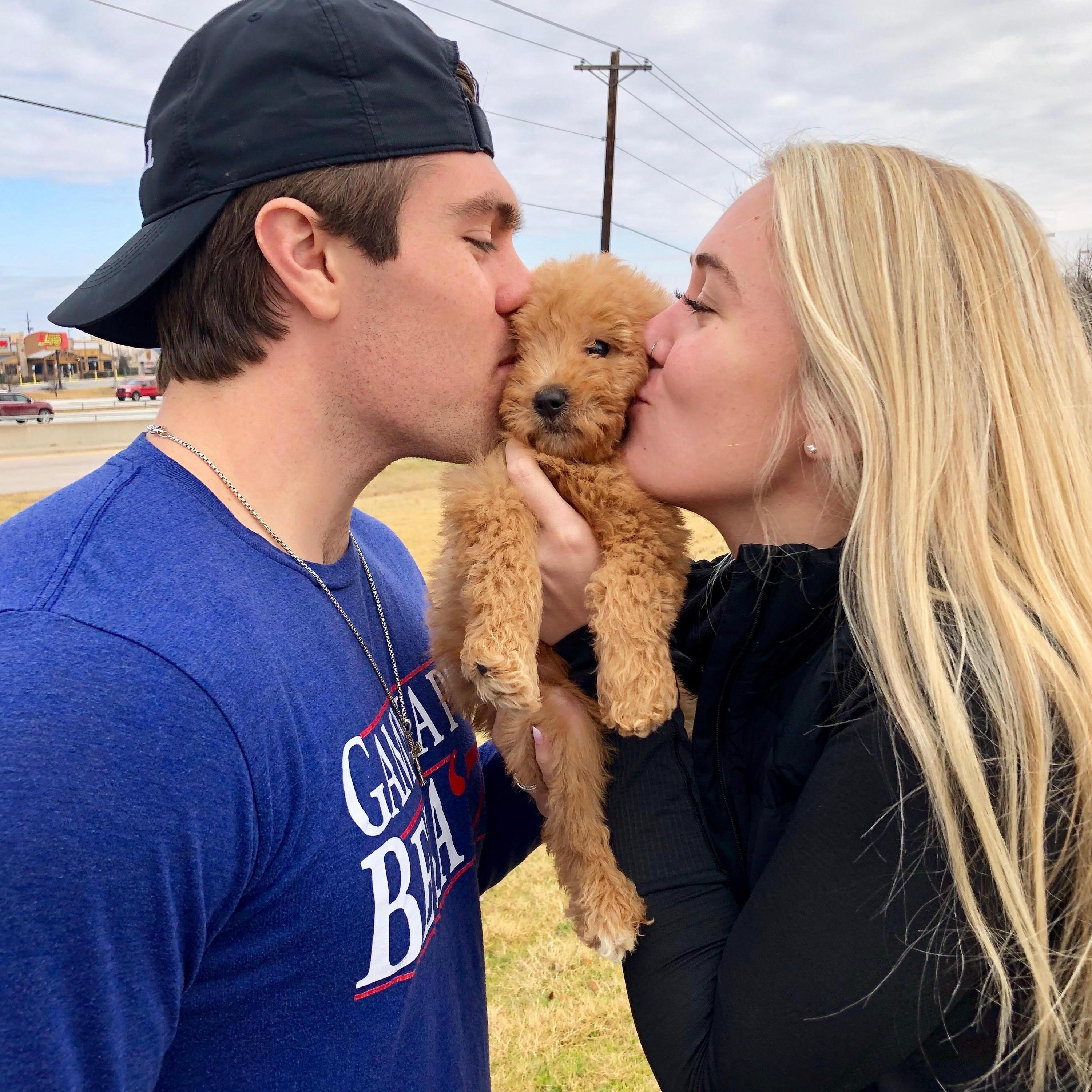 December 2018 - the day we got our Henley girl!