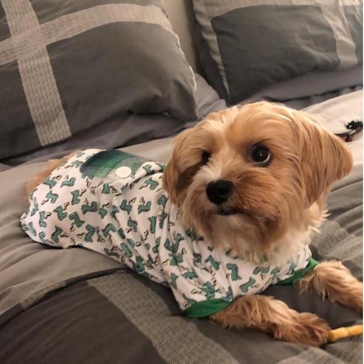 Mylo in his dinosaur jammies