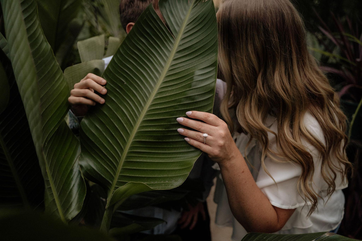 The Wedding Website of Shannon Scott and Robert Blomstrann