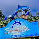 Sea Life Park Hawaii