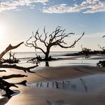 Jekyll Island
