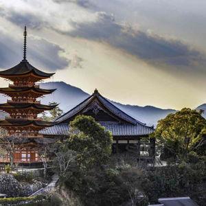 Honeymoon Fund (Japan)