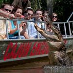 Cajun Encounters Tour Company