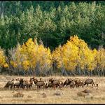 Rocky Mountain National Park