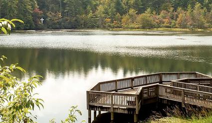 06b65455-a8ee-4dfe-8371-2b4a8d623ca8