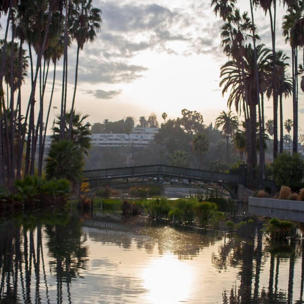 Echo Park sunset during our engagement shoot.