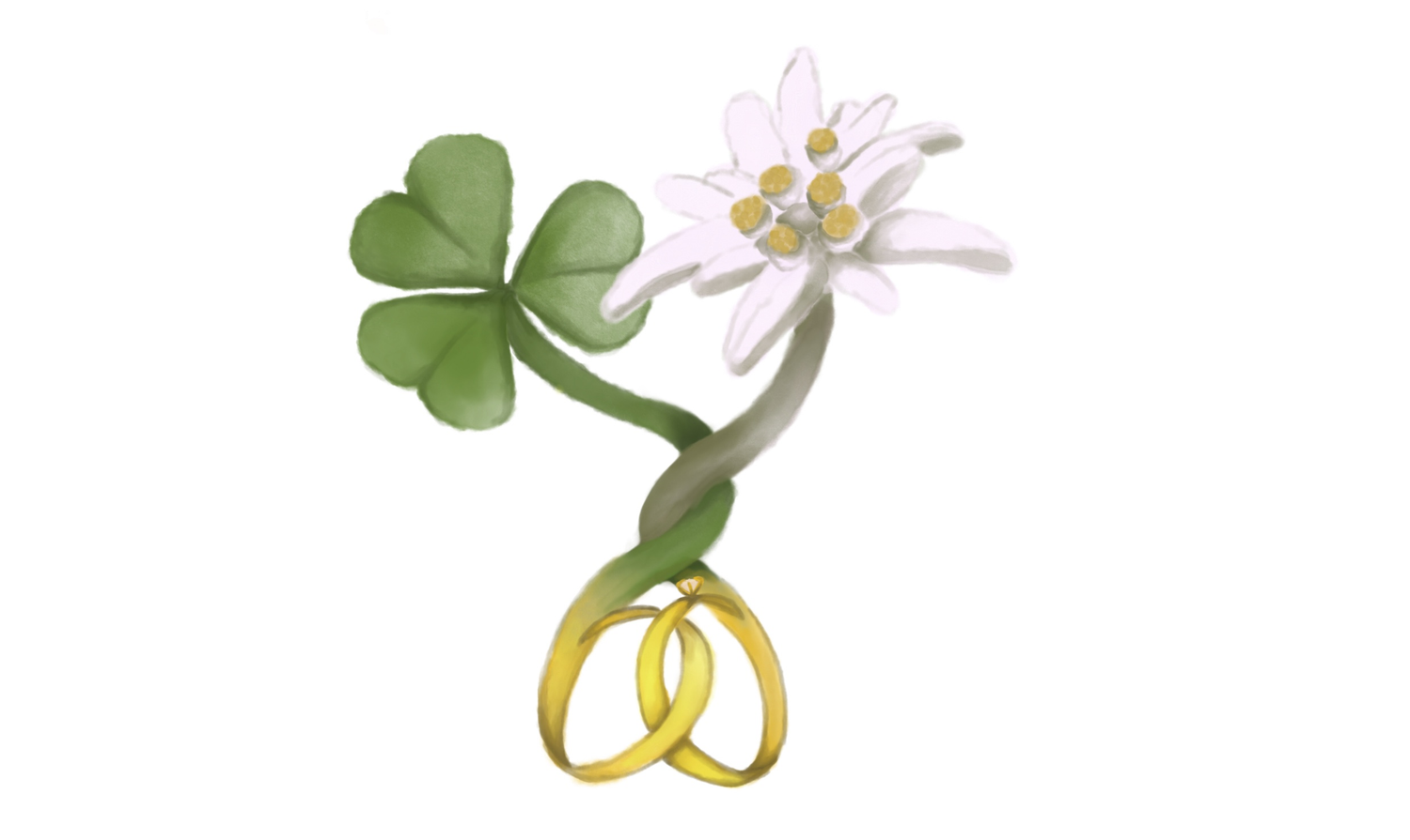 The Wedding Website of Carolina Stoop and Martin Scanlon