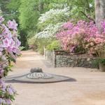 Sarah P. Duke Gardens