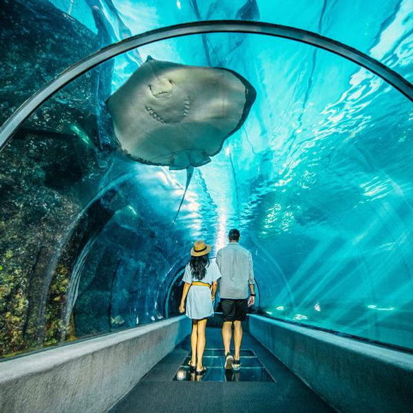 Behind the Scenes Tour of Maui Aquarium