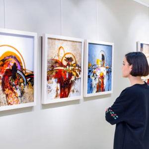 Our Art Collection