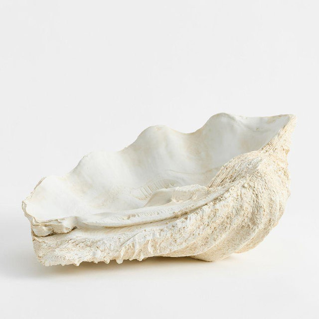 Faux Coral Shell – Large