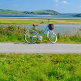 Camel Trail