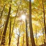 Kettle Moraine State Forest