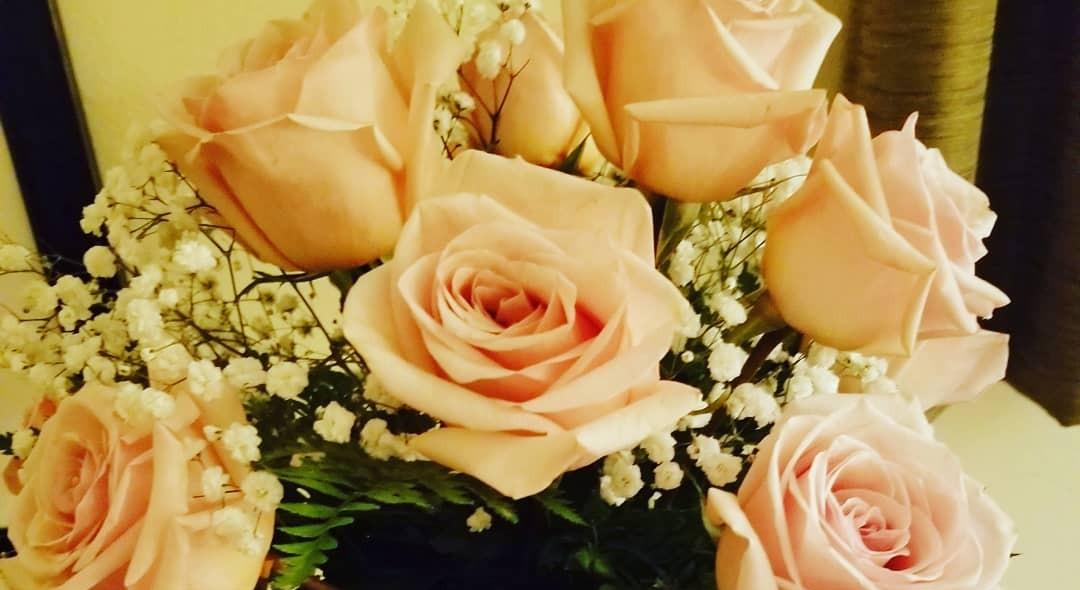 The Wedding Website of piper johnson and dylan sherman