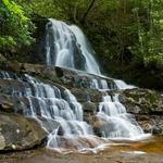 Laurel Falls Trail