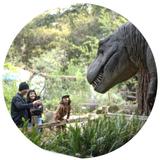 Santa Barbara Museum of Natural History