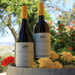 Vindemia Vineyard & Winery