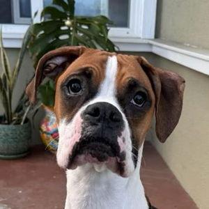 Penelope Fund