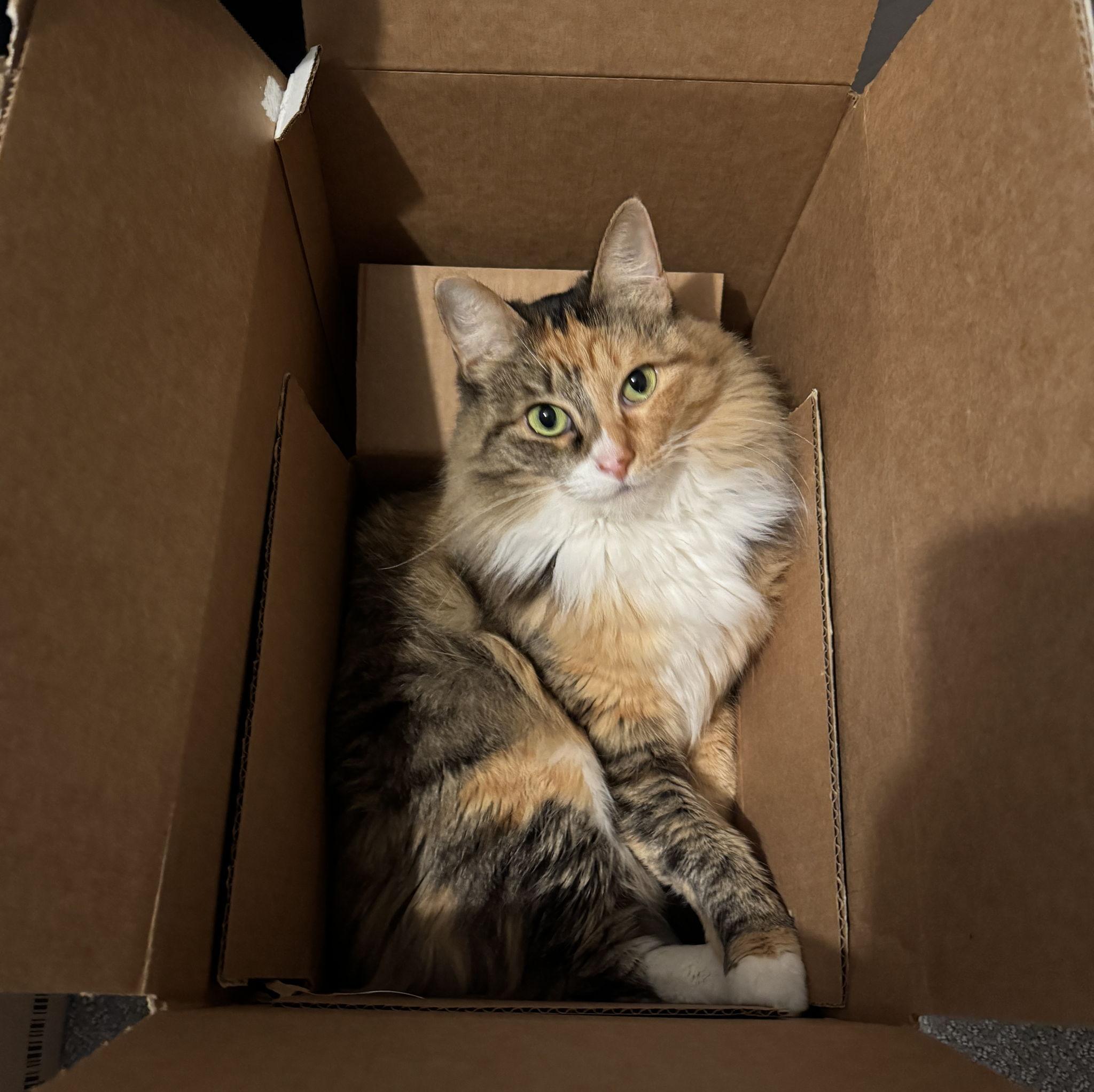 our little angel baby girl Kasha