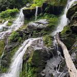 Catawba Falls Trail