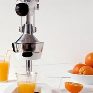 OrangeX Juicer, White