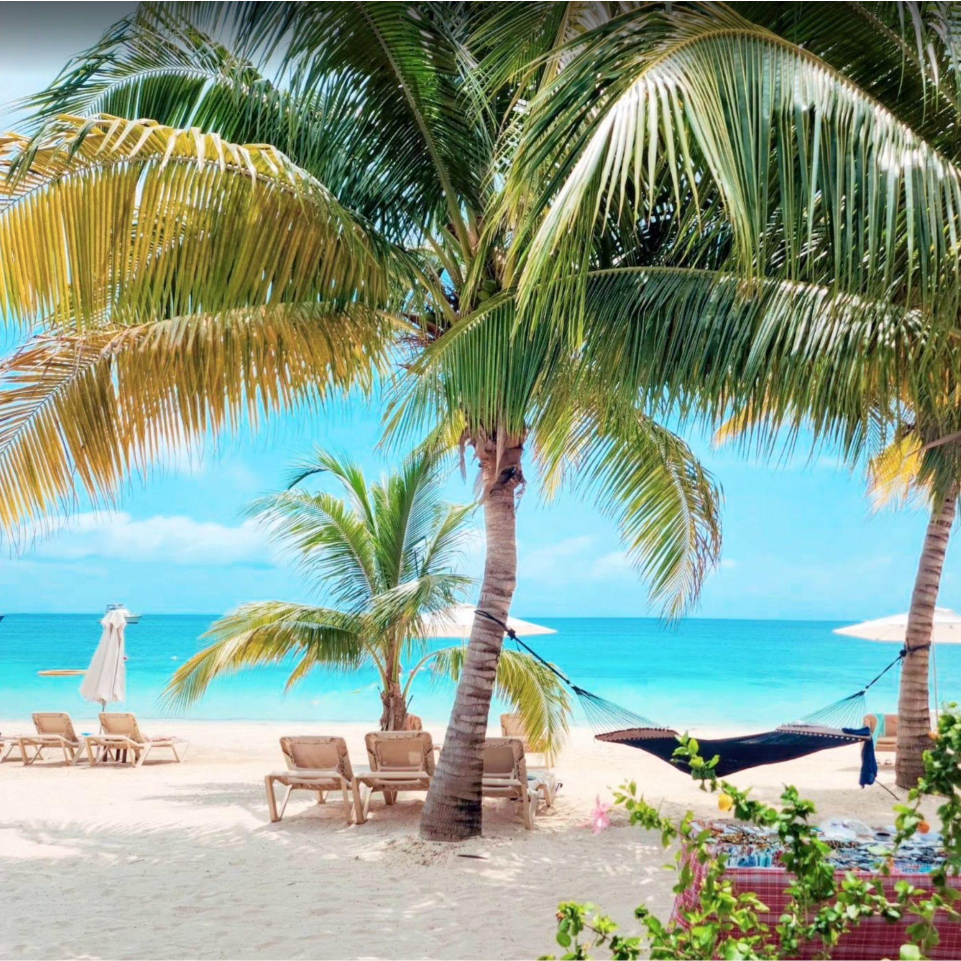 Sunset views + hammock snuggles = pure island magic