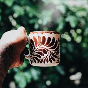 Emily's Mug Fund