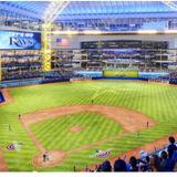 Tampa Bay Rays
