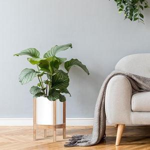 Planter Pot with Stand - 10 Inch Plastic Cylinder Flower Pot with Wood Planter Holder for Indoor, Matte White Pot + Natural Stand, 55-C-M-1