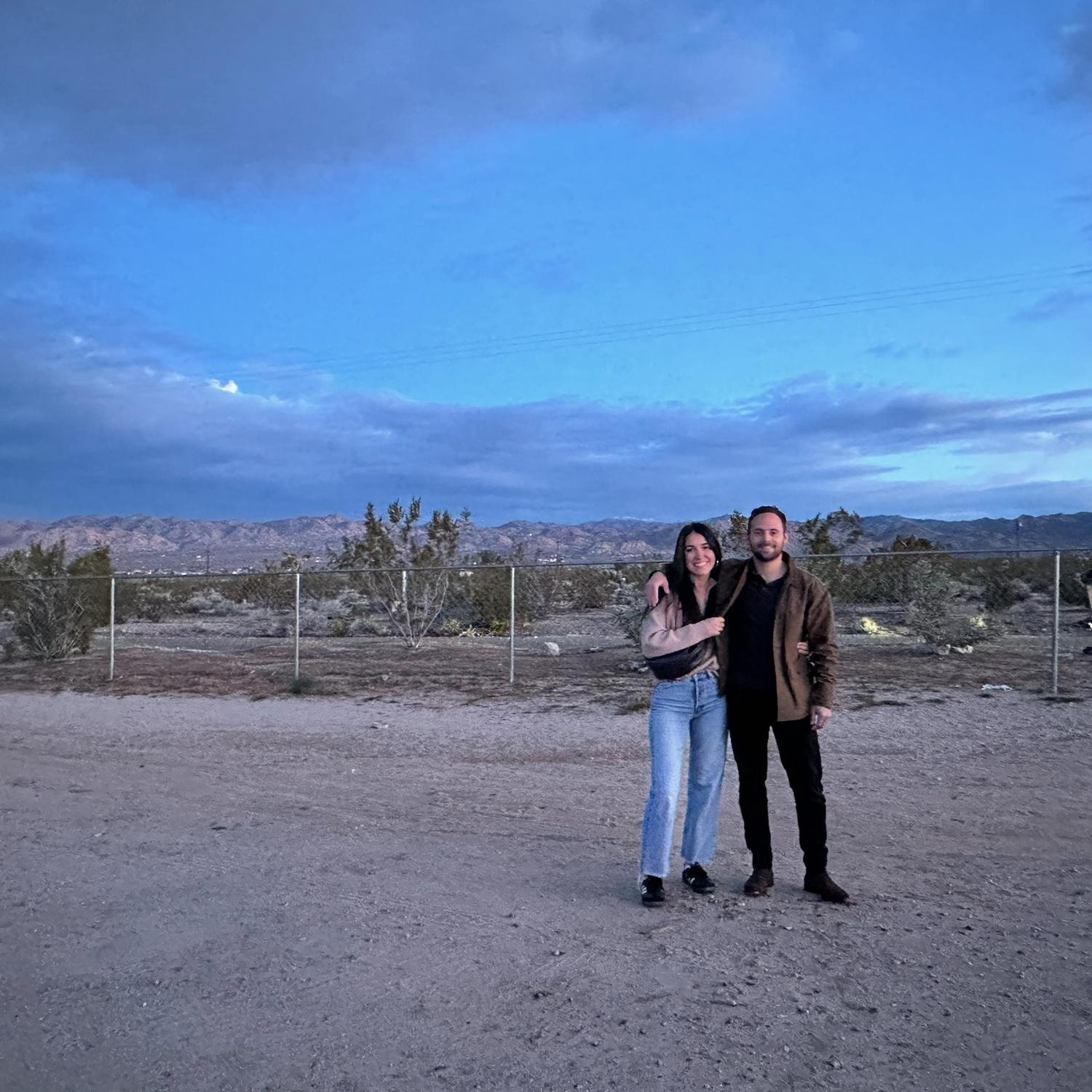 joshua tree