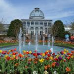 Lewis Ginter Botanical Garden