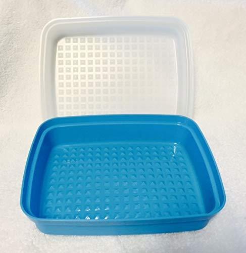 Tupperware Large Season Serve Blue