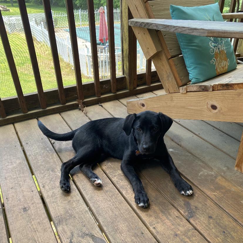 the day we found June in the creek (after she got cleaned-up)