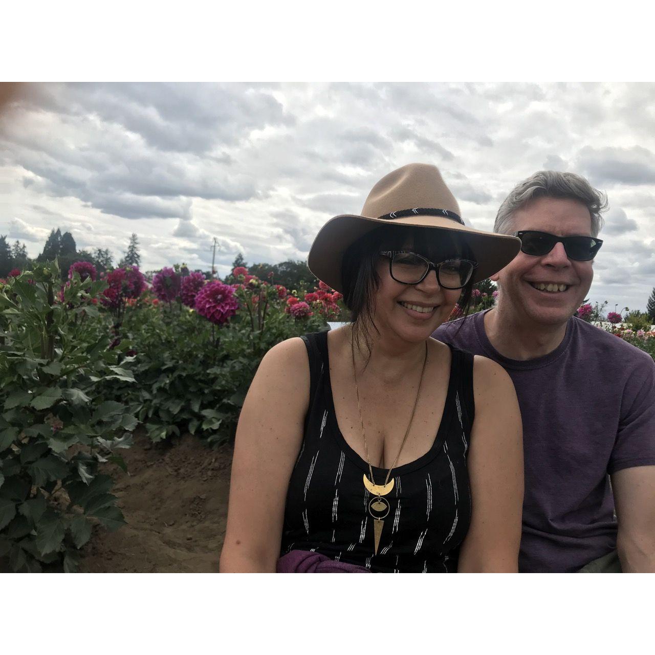 Dahlias!