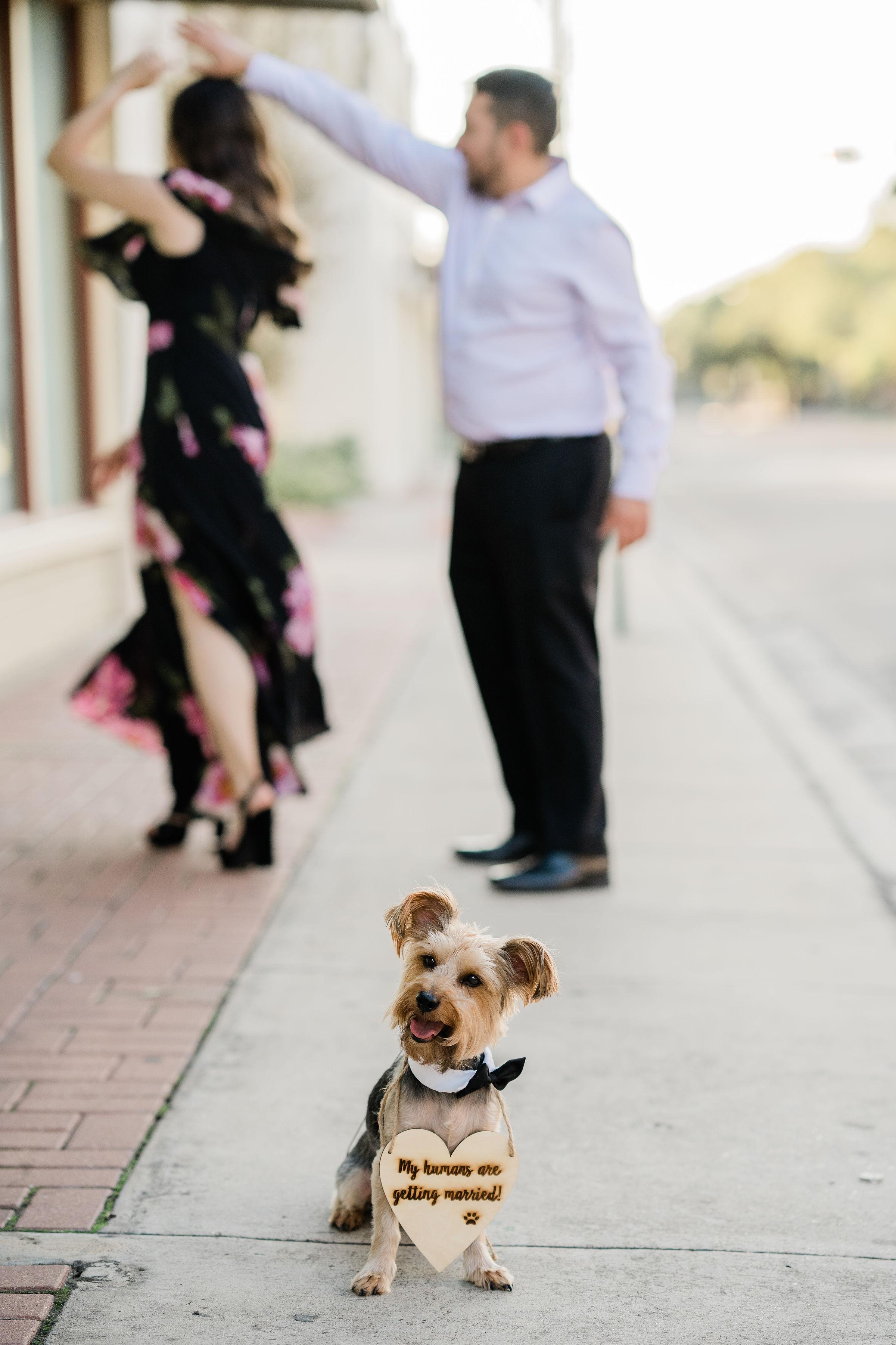 The Wedding Website of Veronica Chavez and Mauricio Benavides