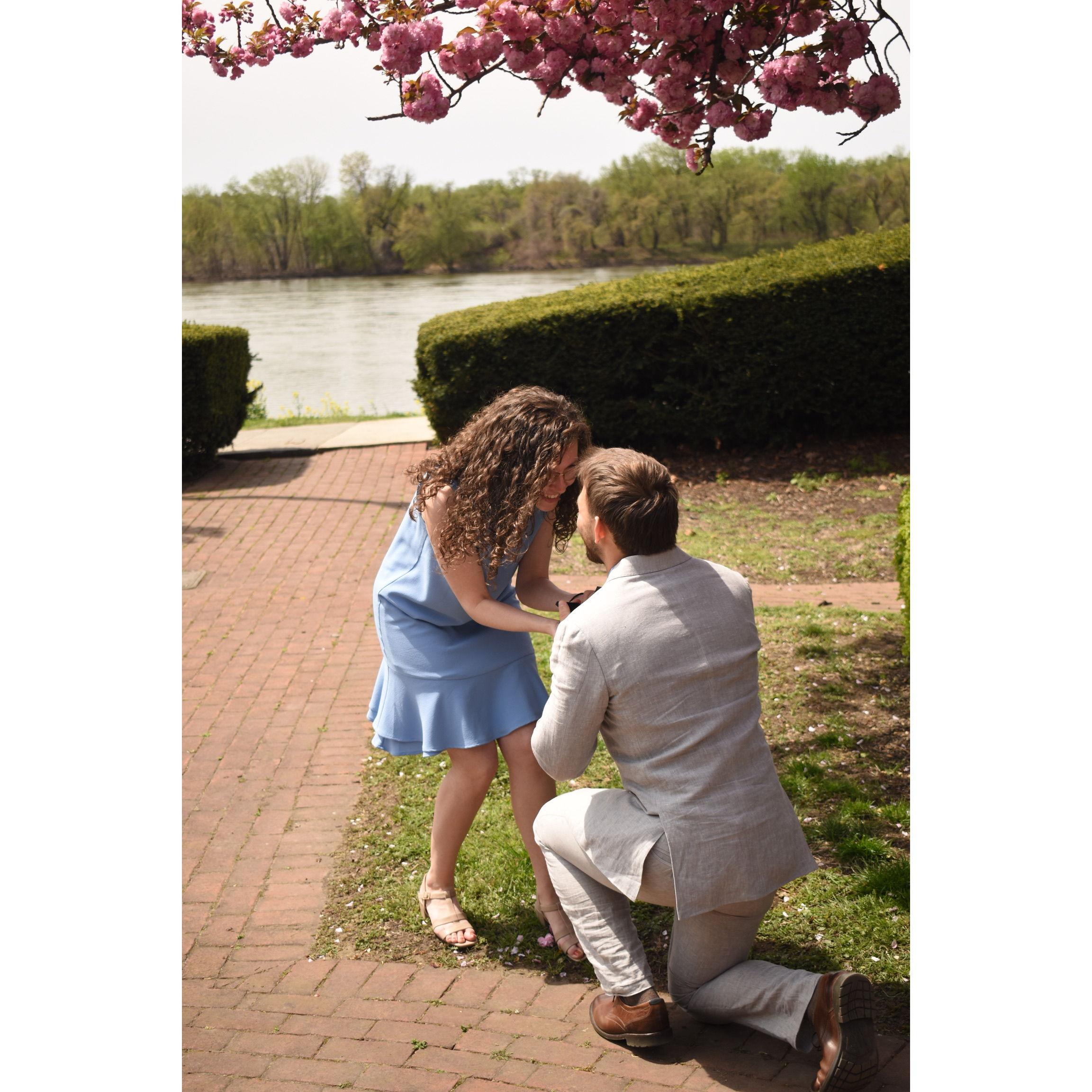 Shout out to Hannah for the beautiful pictures of Danny proposing!
