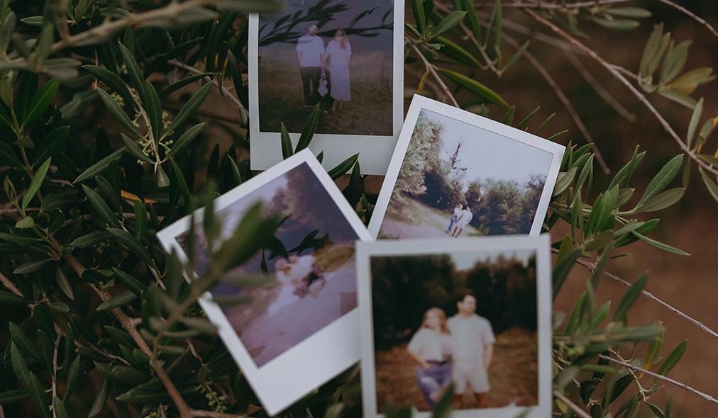 The Wedding Website of Anastasia Falls and Morgan Seburn
