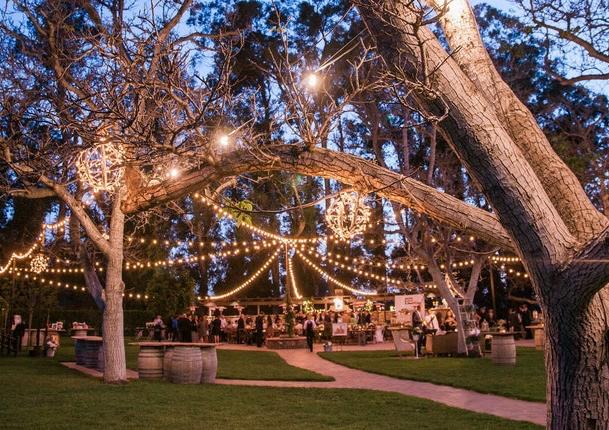 The Wedding Website of Cammie Caira and Jason Blaise Cunningham