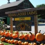 Indian Ladder Farms