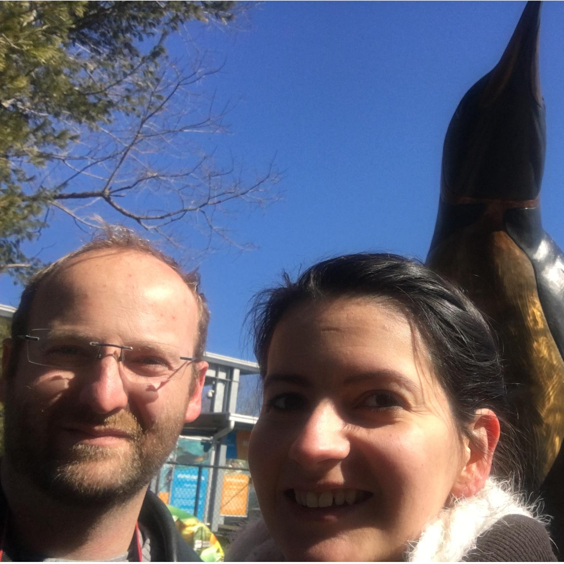 Mystic Aquarium, CT