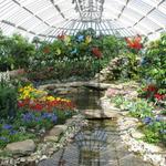 Phipps Conservatory