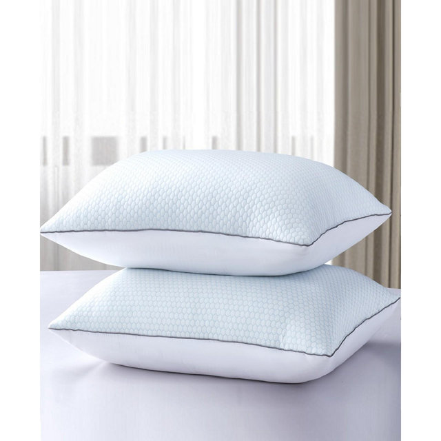 Serta Flipable Summer/Winter White Goose Feather 2-Pack Pillow, Standard/Queen