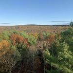 Orenaug Park Trail and Fire Tower